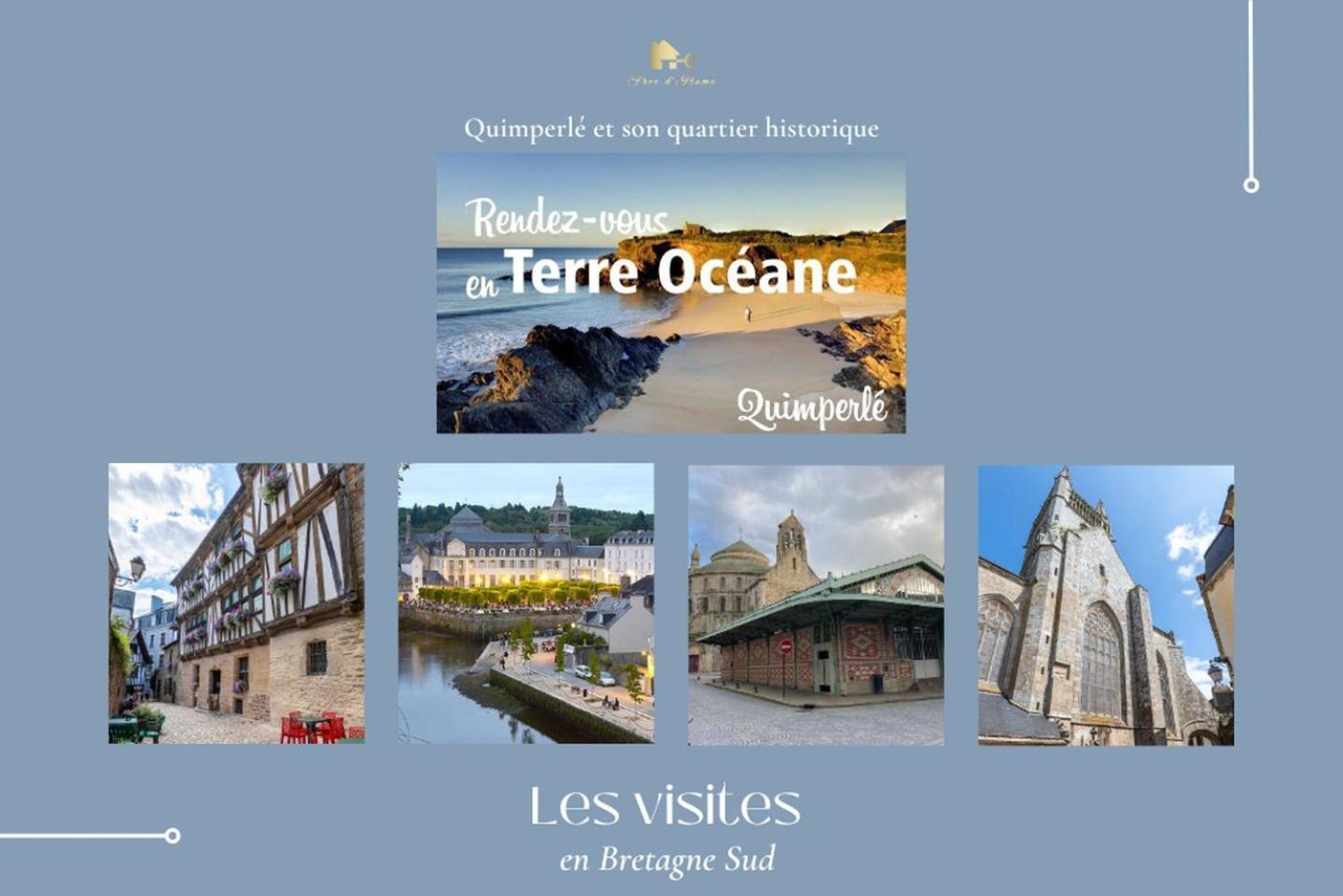 Le Belaven, Neuf, Cosy, Terrasse, Jardin, Kerfany Plage, 1 A 6 Pers Moëlan-sur-Mer المظهر الخارجي الصورة