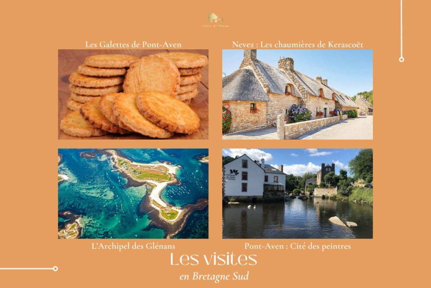 Le Belaven, Neuf, Cosy, Terrasse, Jardin, Kerfany Plage, 1 A 6 Pers Moëlan-sur-Mer المظهر الخارجي الصورة