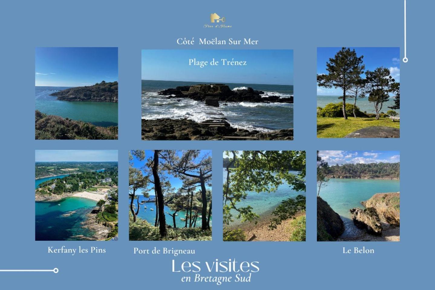 Le Belaven, Neuf, Cosy, Terrasse, Jardin, Kerfany Plage, 1 A 6 Pers Moëlan-sur-Mer المظهر الخارجي الصورة